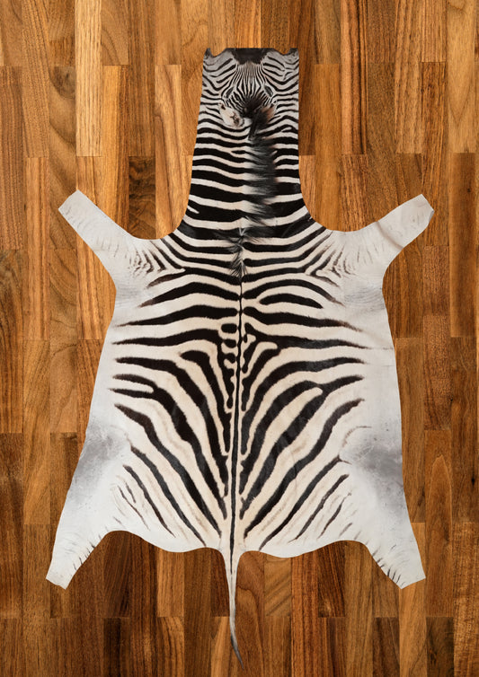 AA Grade Burchell Zebra Hide - South African
